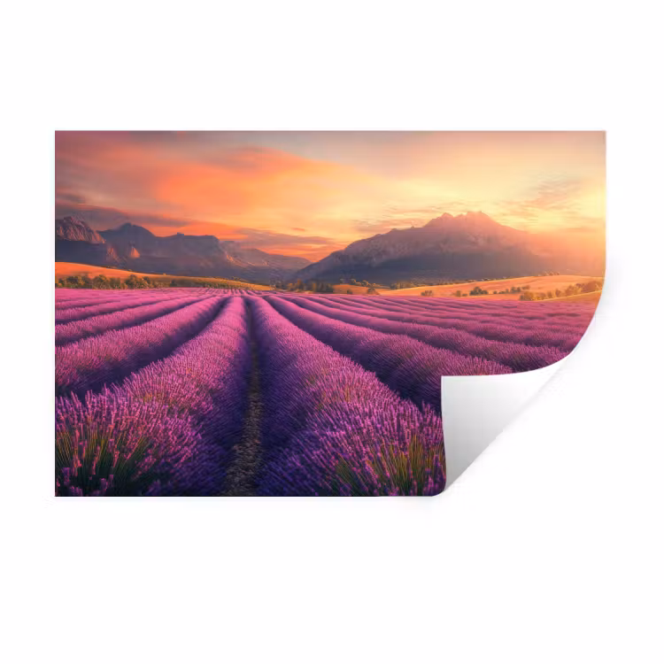 Lavendelveld - Zonsondergang - Paars Muursticker klein -3d