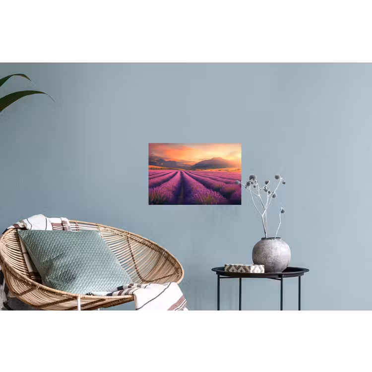 Lavendelveld - Zonsondergang - Paars Muursticker klein -plant