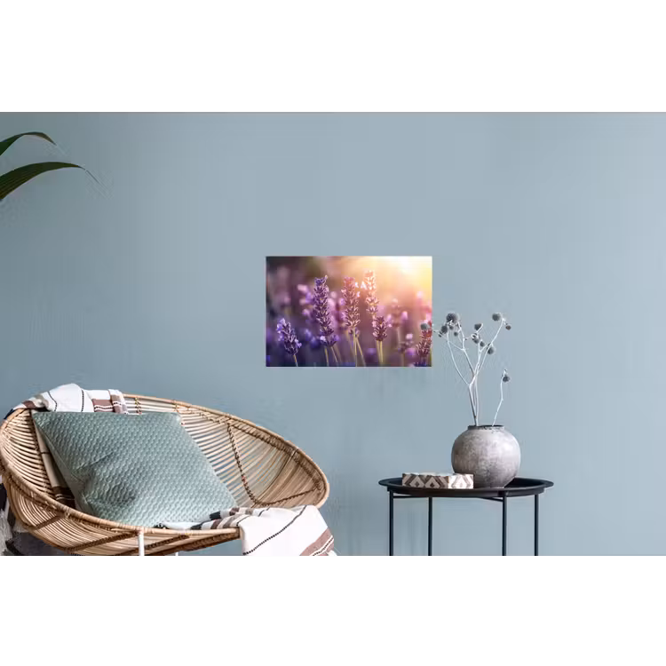 Lavendelbloemen - Paars - Zonlicht Muursticker klein -plant