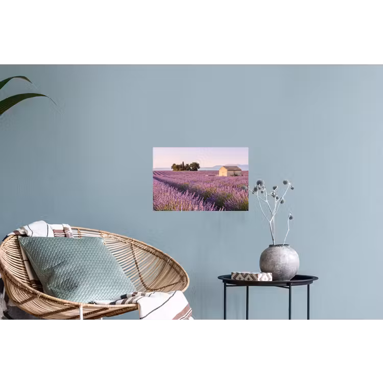 Lavendel - Landschap - Sereen - Paars Muursticker klein -plant