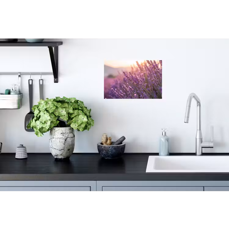 Lavendel - Paars - Zonlicht Muursticker klein -keuken