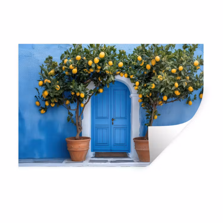 Citroenbomen - Geel - Deur - Potten Muursticker klein -3d