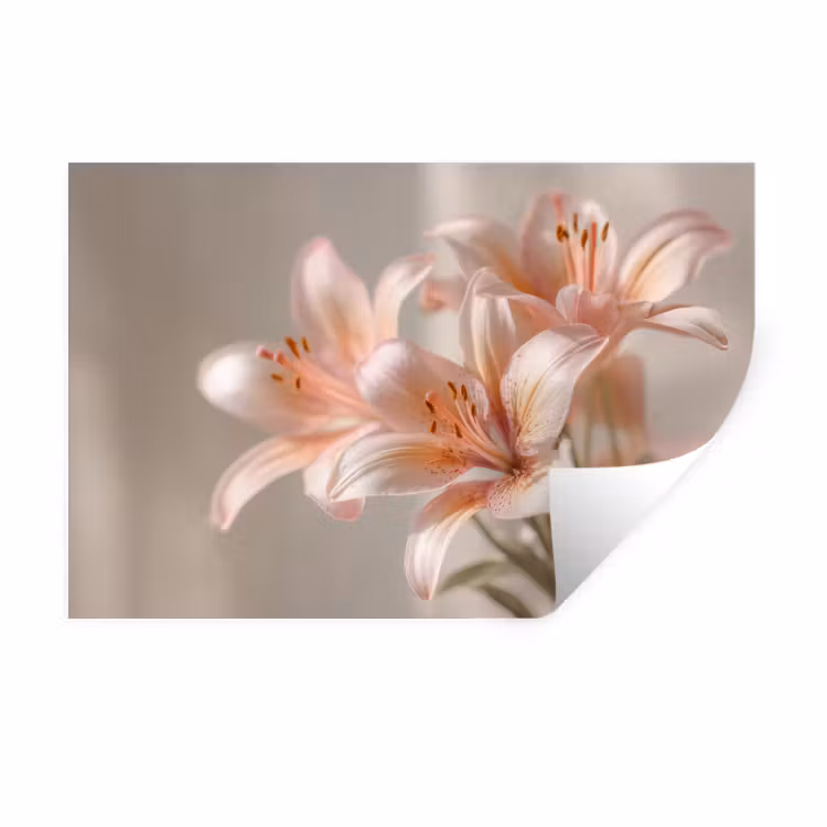 Lelies - Meeldraden - Roze - Wazig Muursticker klein -3d