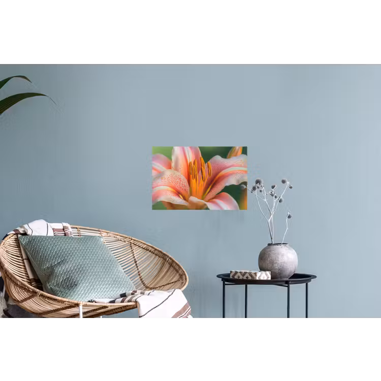 Lelie - Close up - Lichtroze Muursticker klein -plant