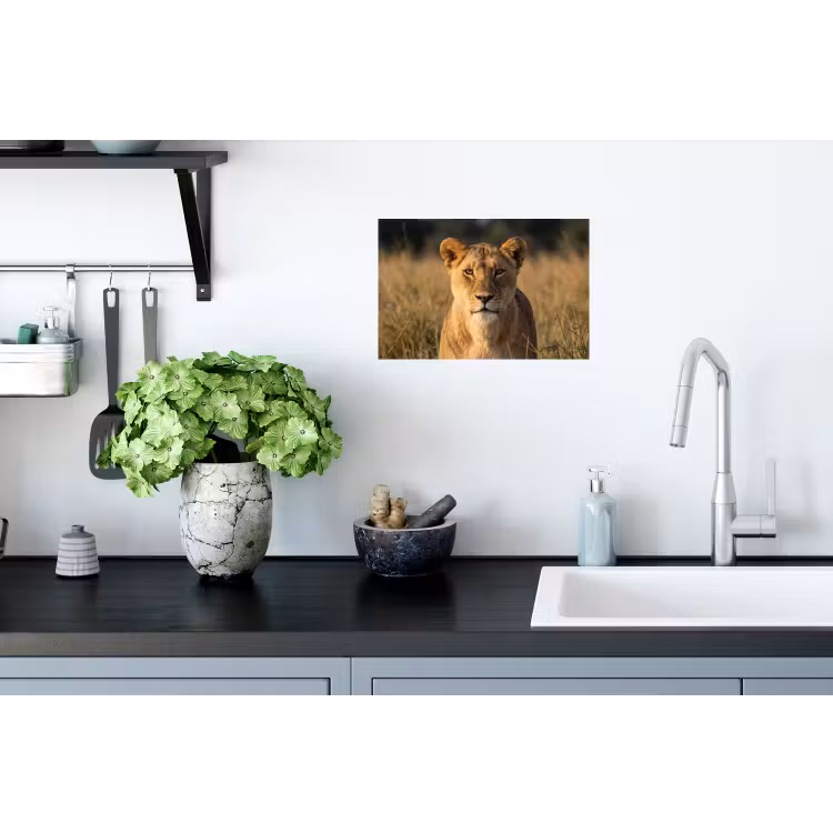 Leeuwin - Gras - Geel Muursticker klein -keuken
