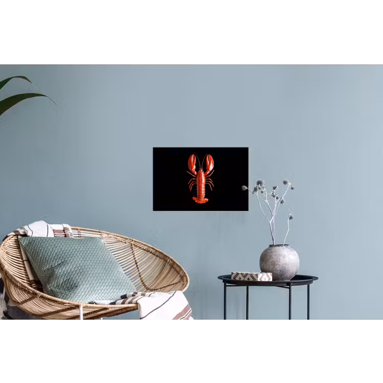 Kreeft - Glossier Rood - Zwart Muursticker klein -plant