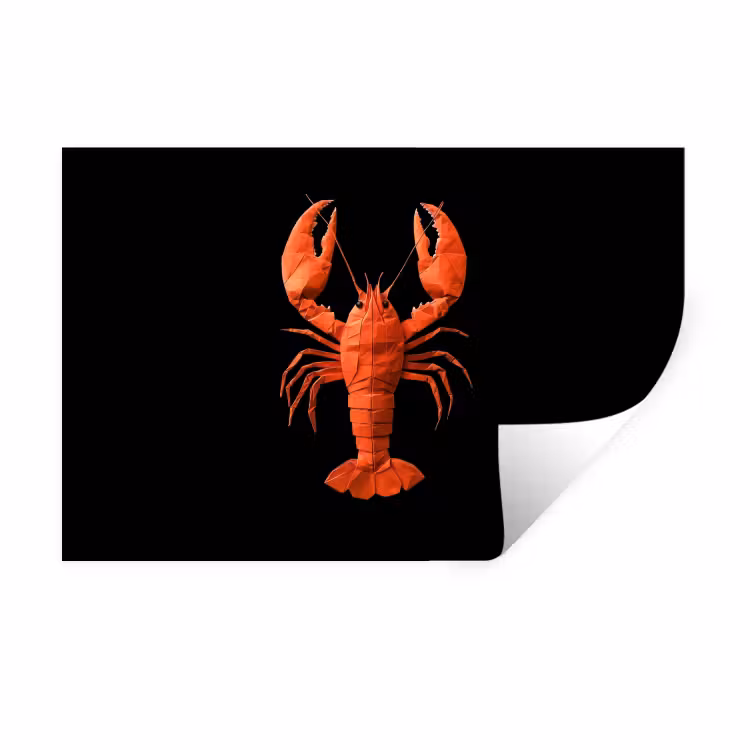 Kreeft - Papier - Origami papier - Rood Muursticker klein -3d