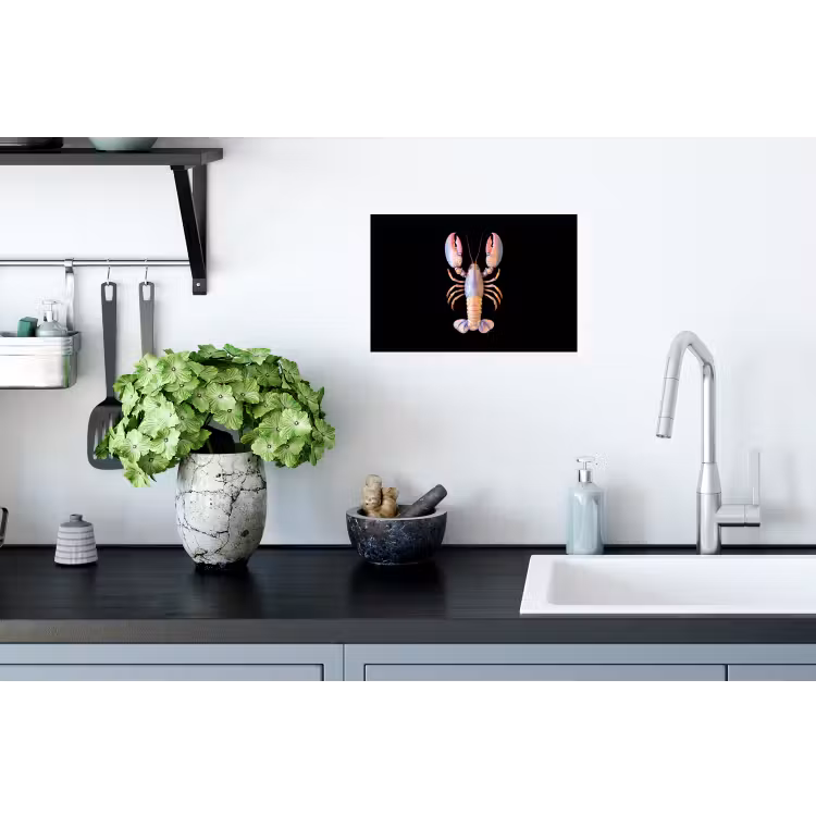 Kreeft - Roze - Zacht - Zwart Muursticker klein -keuken