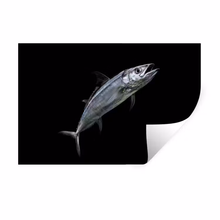 Makreel - Vis - Zwart Muursticker klein -3d