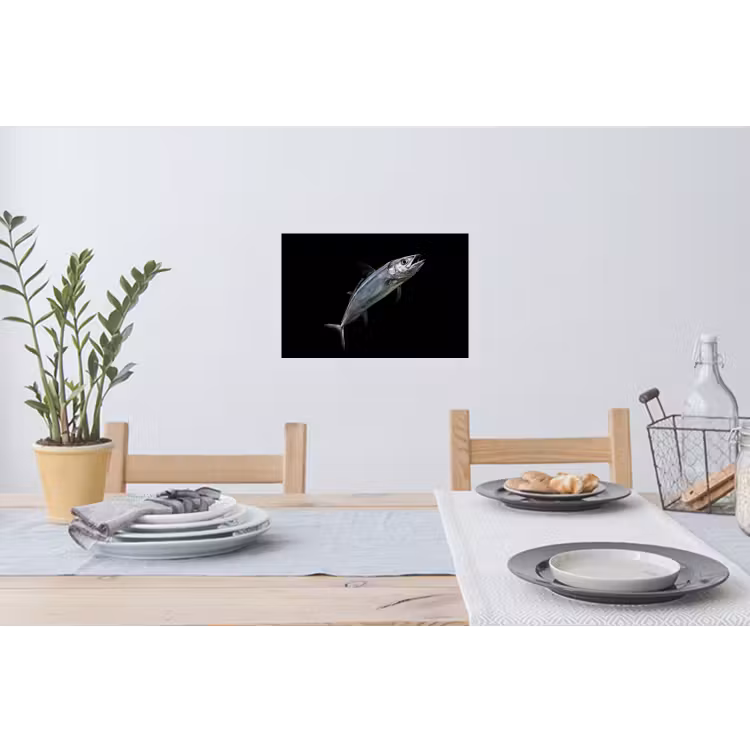 Makreel - Vis - Zwart Muursticker klein -eettafel