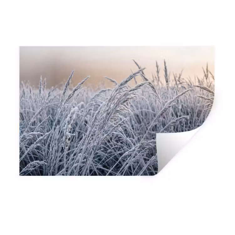 Rijp - Gras - Kristallen - Winter - Minimalistisch Muursticker klein -3d