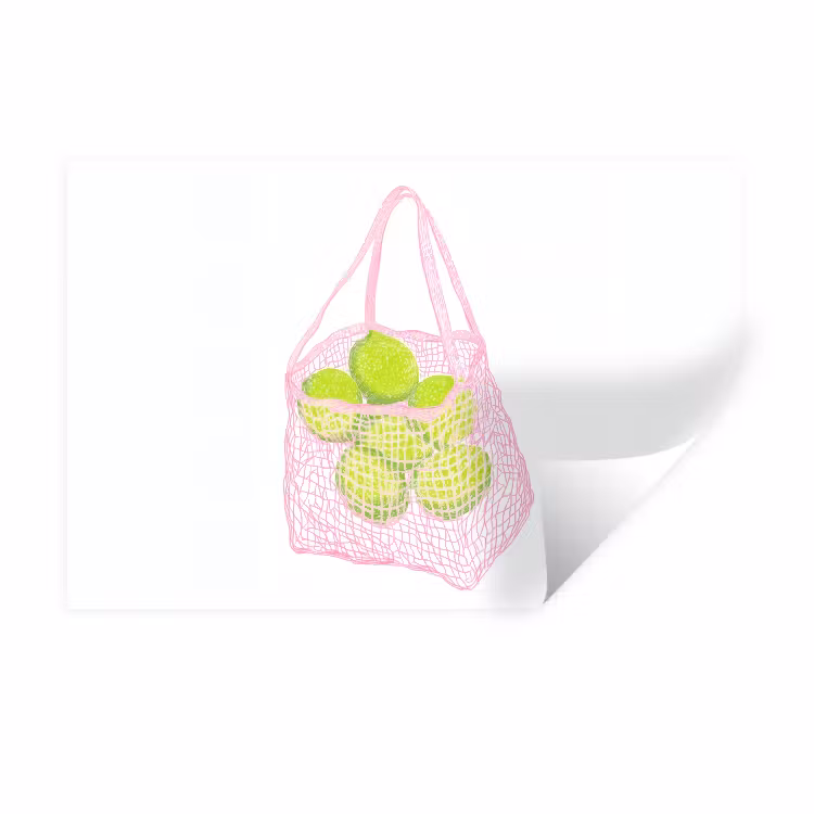 Netzakje - Roze - Illustratie - Limoenen Muursticker klein -3d