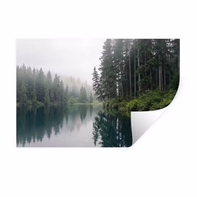 Bergen - Meer - Bos Muursticker klein -3d