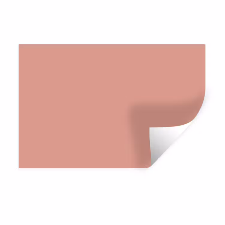 Muted - Salmon - Koraal Muursticker klein 286 -3d