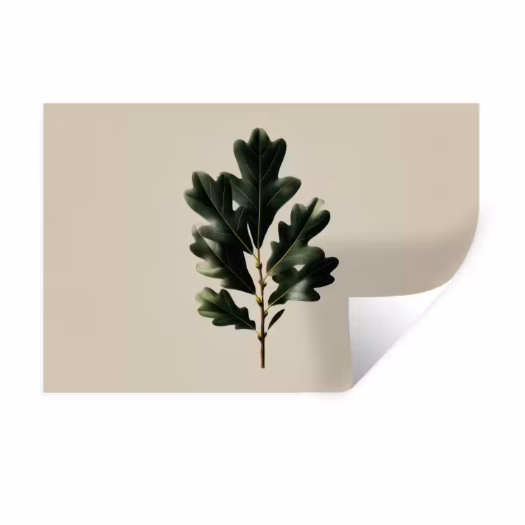 Eikenbladeren - Beige - Groen - Golvende randen Muursticker klein -3d