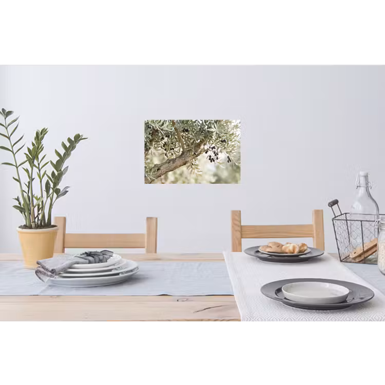 Wall Sticker - Olive tree - branch - green - Olijfboom - tak - groen Muursticker klein