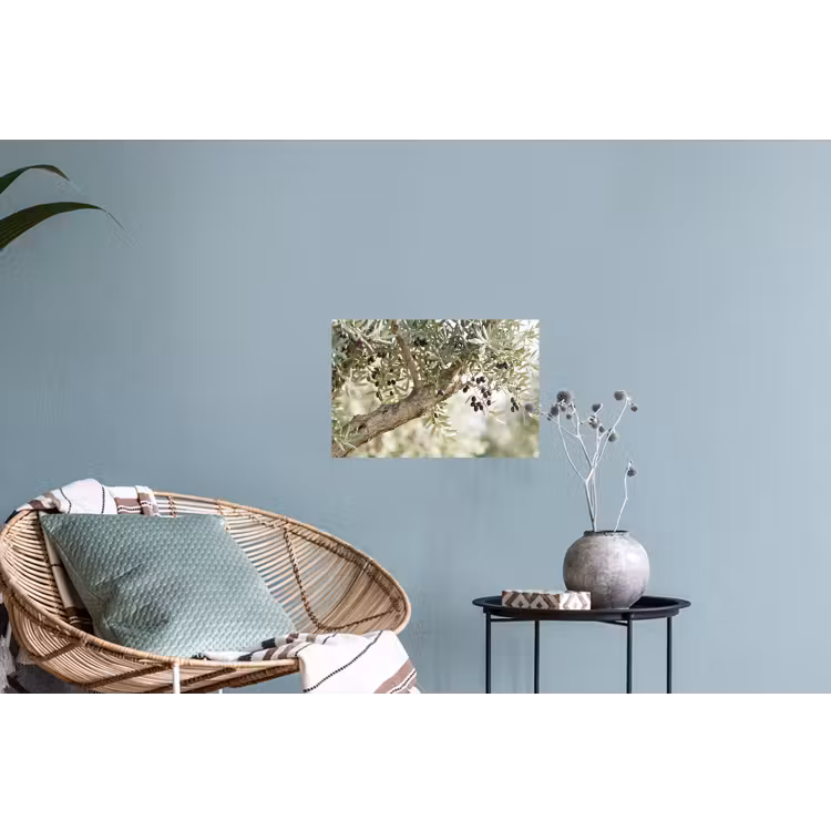 Wall Sticker - Olive tree - branch - green - Olijfboom - tak - groen Muursticker klein