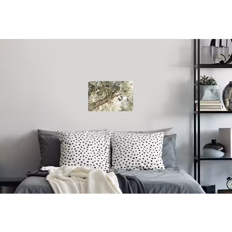Wall Sticker - Olive tree - branch - green - Olijfboom - tak - groen Muursticker klein