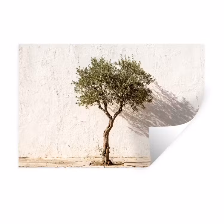 Wall Sticker - Olive Tree - Wall - White - Olijfboom - muur - wit Muursticker klein