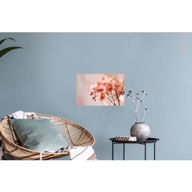 Orchidee - Bloemen - Roze - Bloemblaadjes Muursticker klein -plant