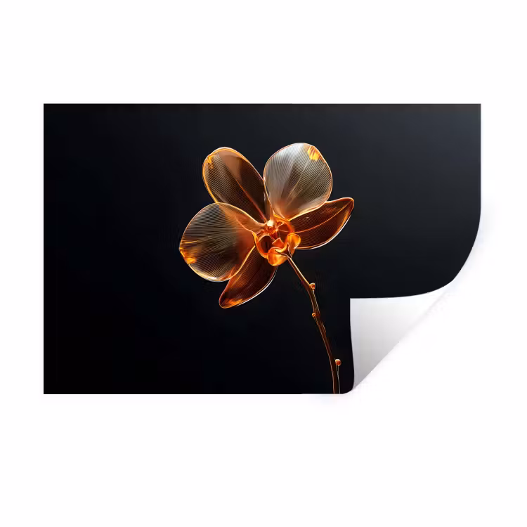 Orchidee - Doorzichtig - Bloem Muursticker klein -3d