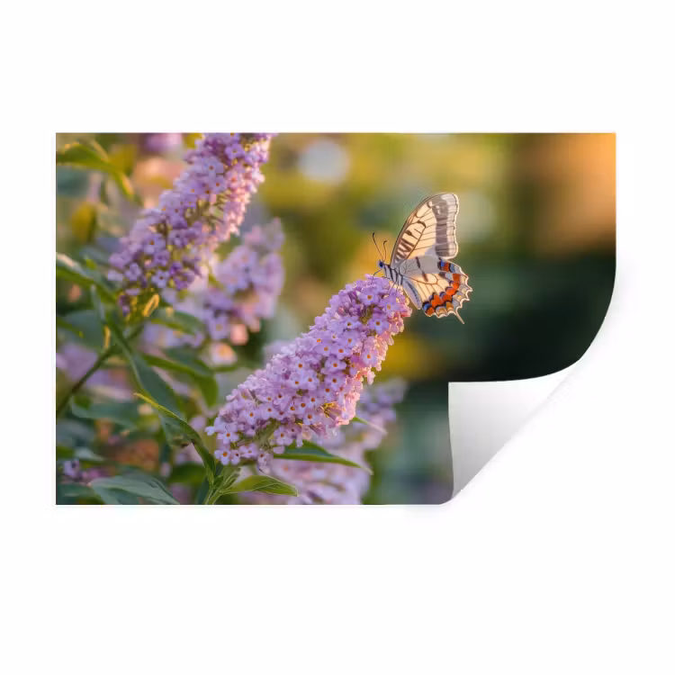 Sierlijke - Vlinder - Paarse - Bloemen Muursticker klein -3d