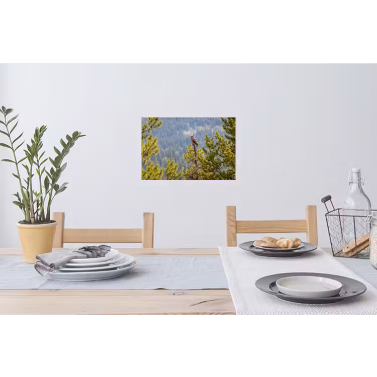Uil - Oehoe - Bomen - Natuur Muursticker klein -eettafel