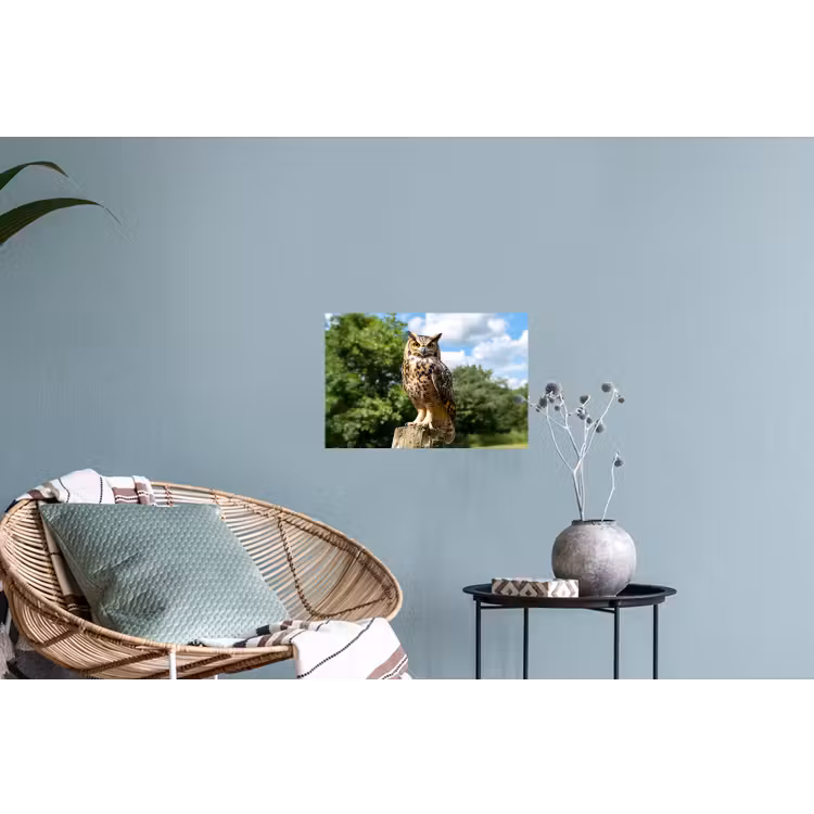 Uil - Boomstronk - Bos - Lucht Muursticker klein -plant