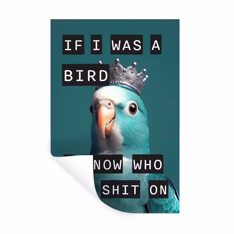 Parkiet - Turquoise - Quotes - Decoratie Muursticker klein -3d