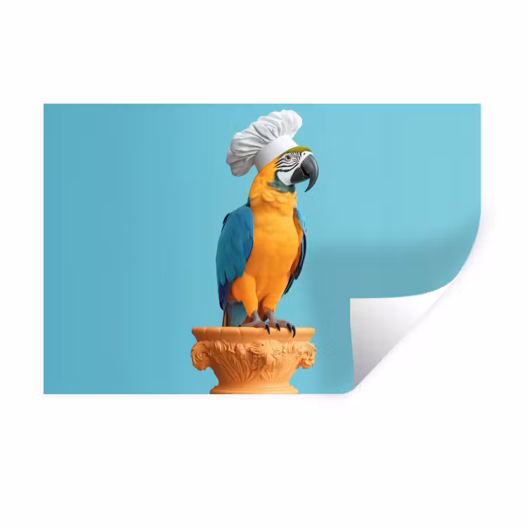 Papegaai - Koksmuts - Grappig - Vogel Muursticker klein -3d