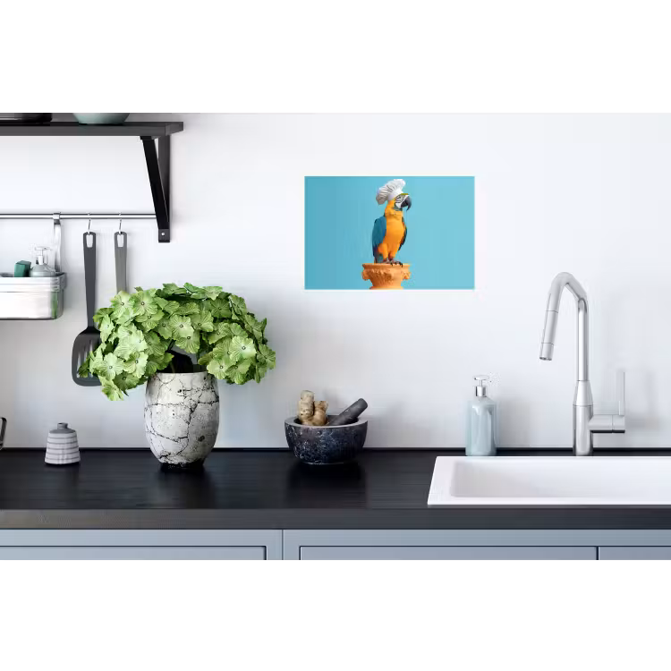Papegaai - Koksmuts - Grappig - Vogel Muursticker klein -keuken