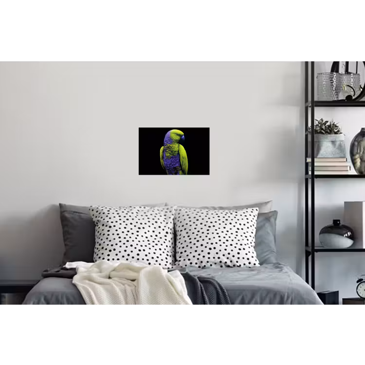 Papegaai - Veren - Opvallend - Groen Muursticker klein -slaapkamer