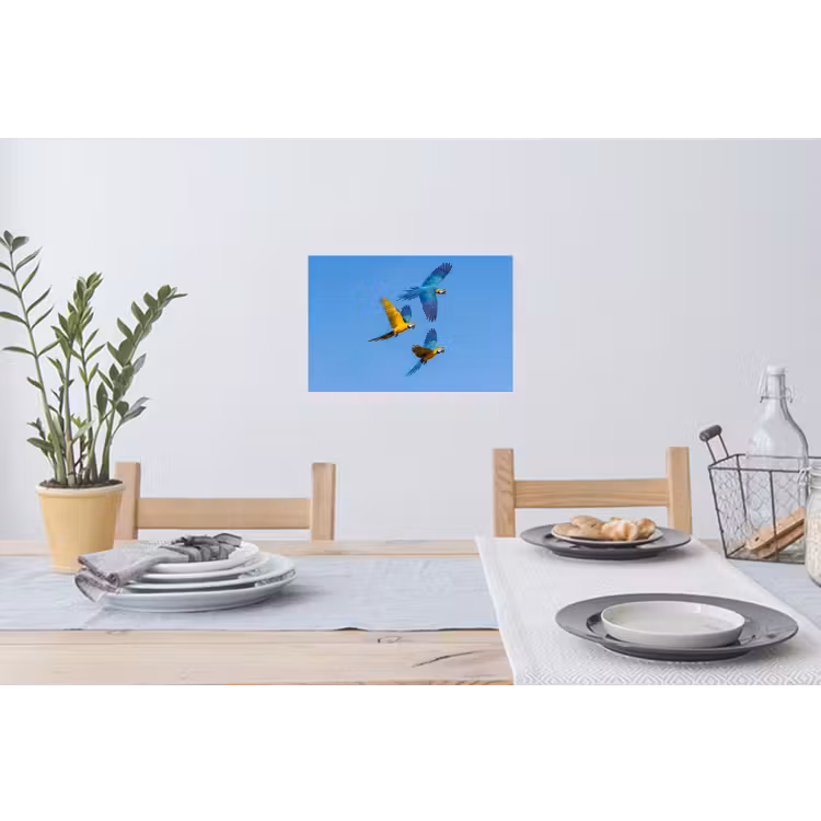 Papagaai - Vliegen - Blauw - Geel Muursticker klein -eettafel