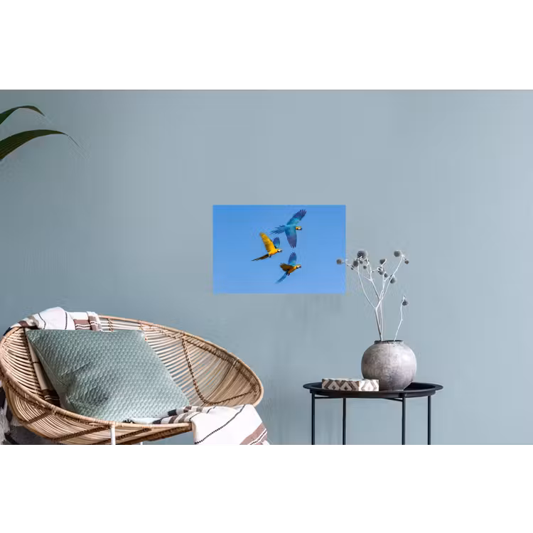 Papagaai - Vliegen - Blauw - Geel Muursticker klein -plant