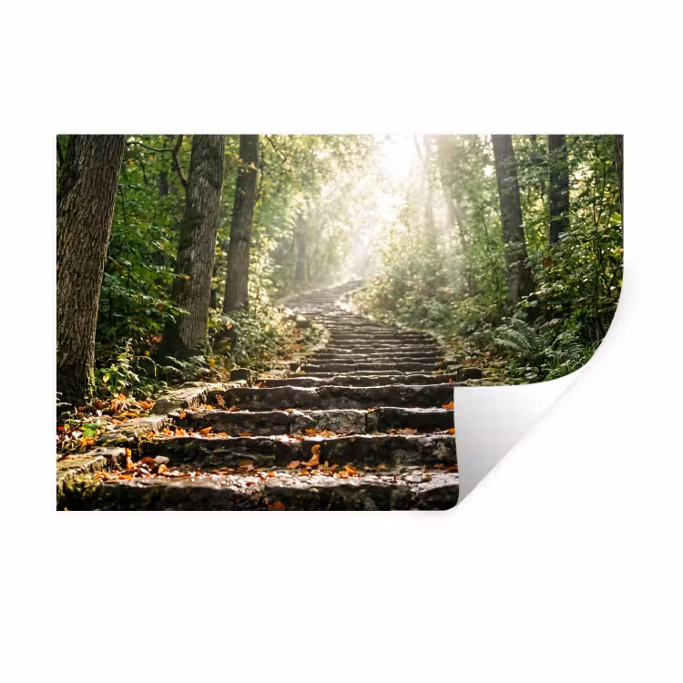 Stenen - Trap - Bos - Natuur Muursticker klein -3d