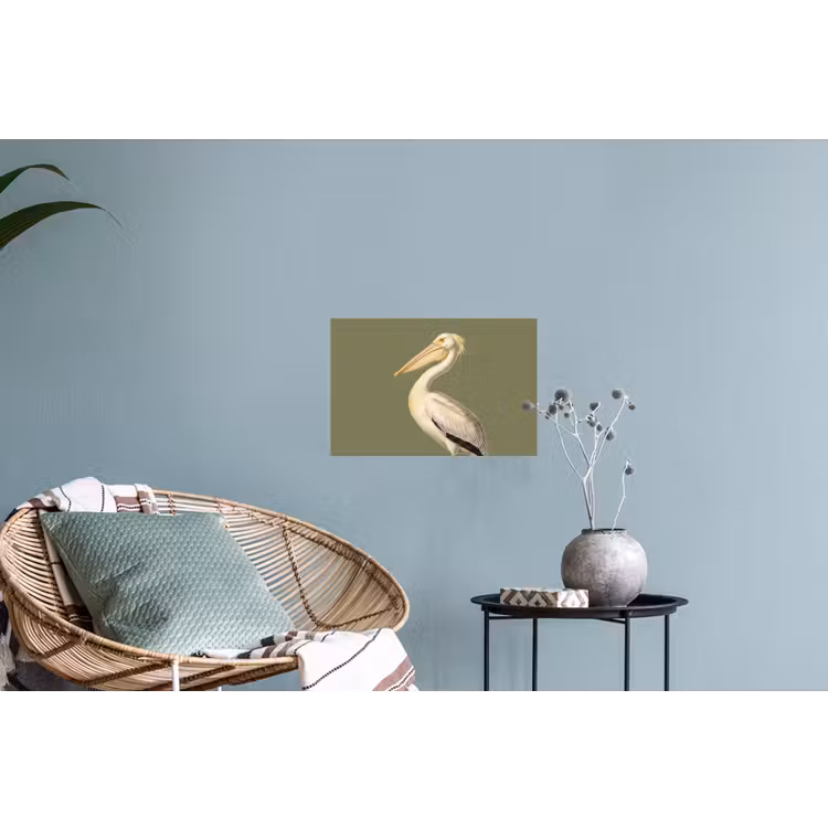 Pelikaan - Wit - Vogel - Klassiek - Natuur Muursticker klein -plant