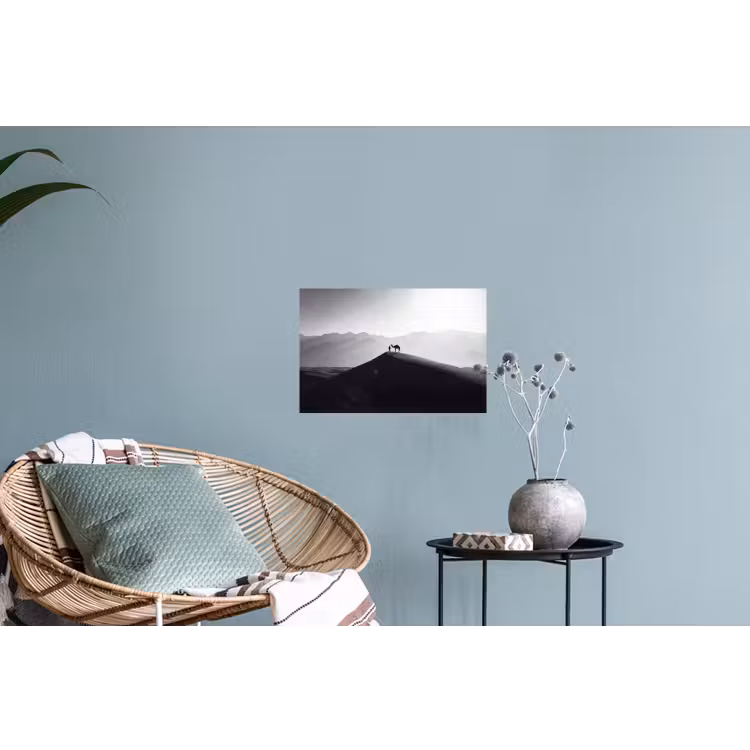 Mens - Kameel - Zandduin - Natuur - Monochroom Muursticker klein -plant