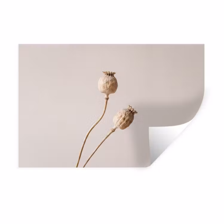 Papaverbollen - Droogbloemen - Minimalistisch - Beige - Rustig Muursticker klein -3d