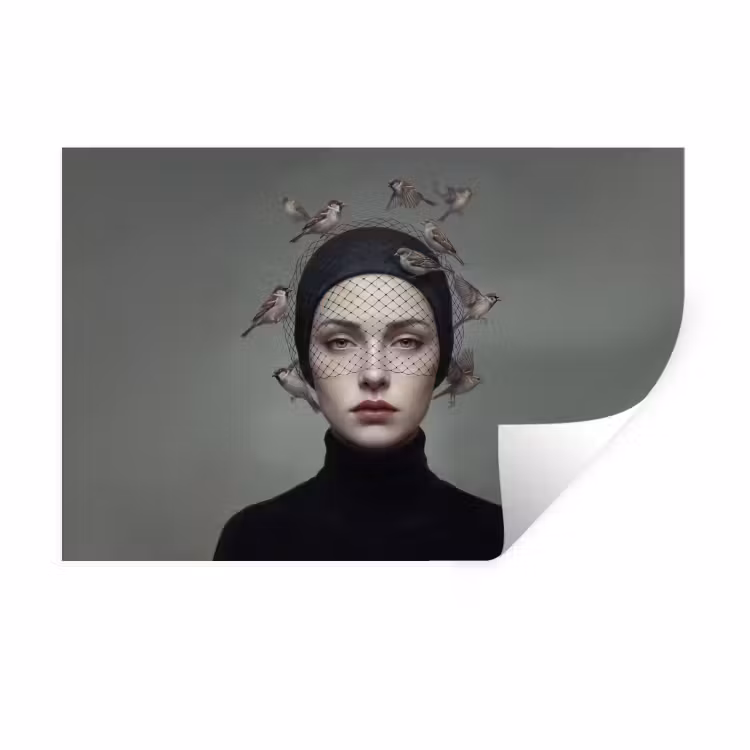 Portret - Vogels - Zwart Muursticker klein -3d