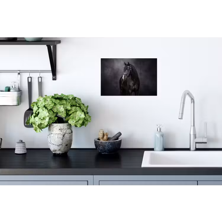Portret - Paard - Zwart Muursticker klein -keuken