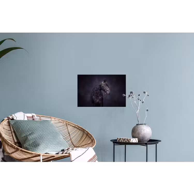 Portret - Paard - Donker Muursticker klein -plant