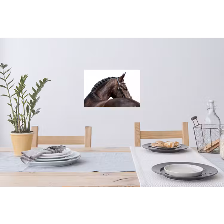 Portret - Paard - Elegant Muursticker klein -eettafel