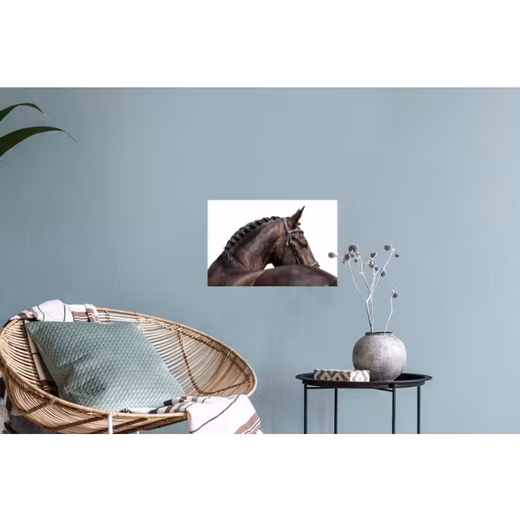 Portret - Paard - Elegant Muursticker klein -plant