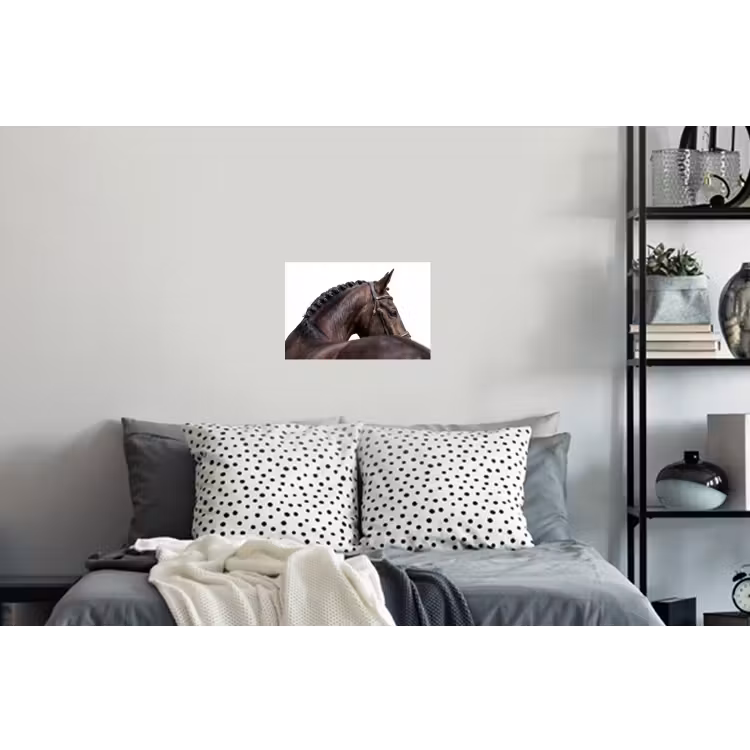 Portret - Paard - Elegant Muursticker klein -slaapkamer