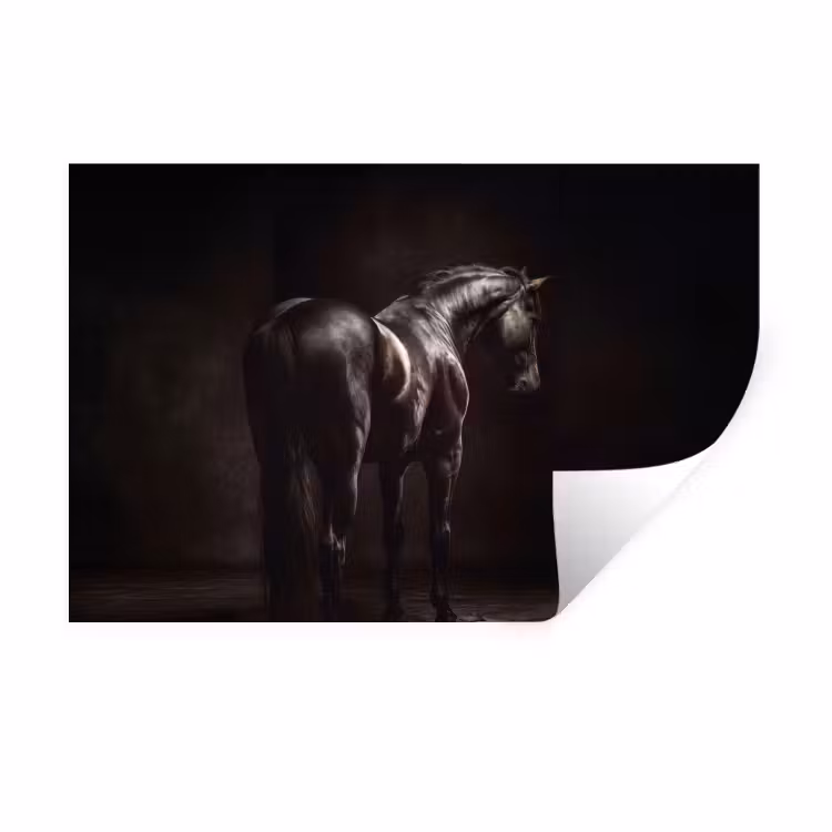 Krachtig - Paard - Donker Muursticker klein -3d