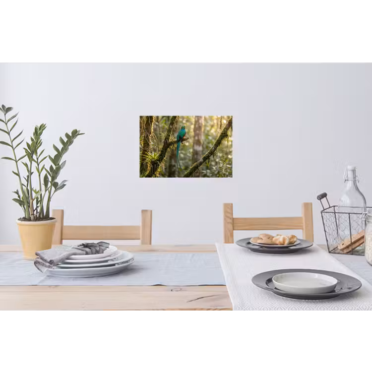 Quetzal - Jungle - Natuur - Groen Muursticker klein -eettafel