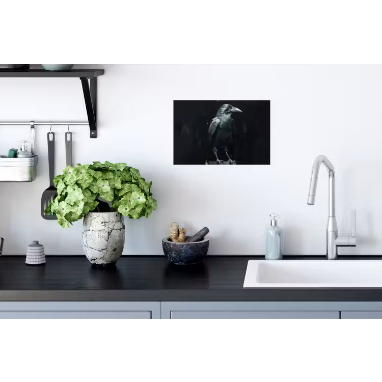 Raaf - Vogels - Zwart Muursticker klein -keuken