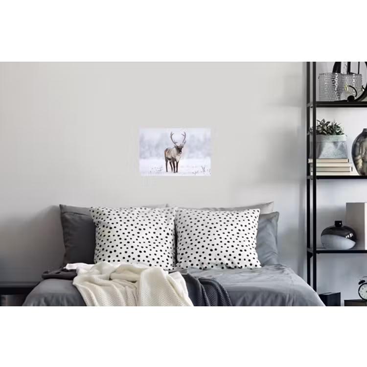 Rendier - Gewei - Toendra - Sneeuw - Wild Muursticker klein -slaapkamer