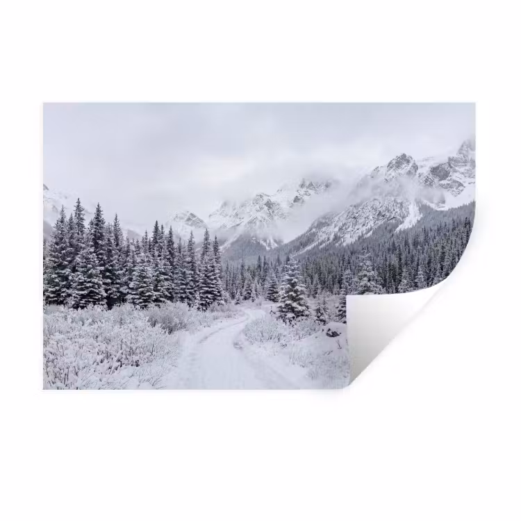Weg - Bergen - Sneeuw - Naaldbos - Avontuurlijk Muursticker klein -3d