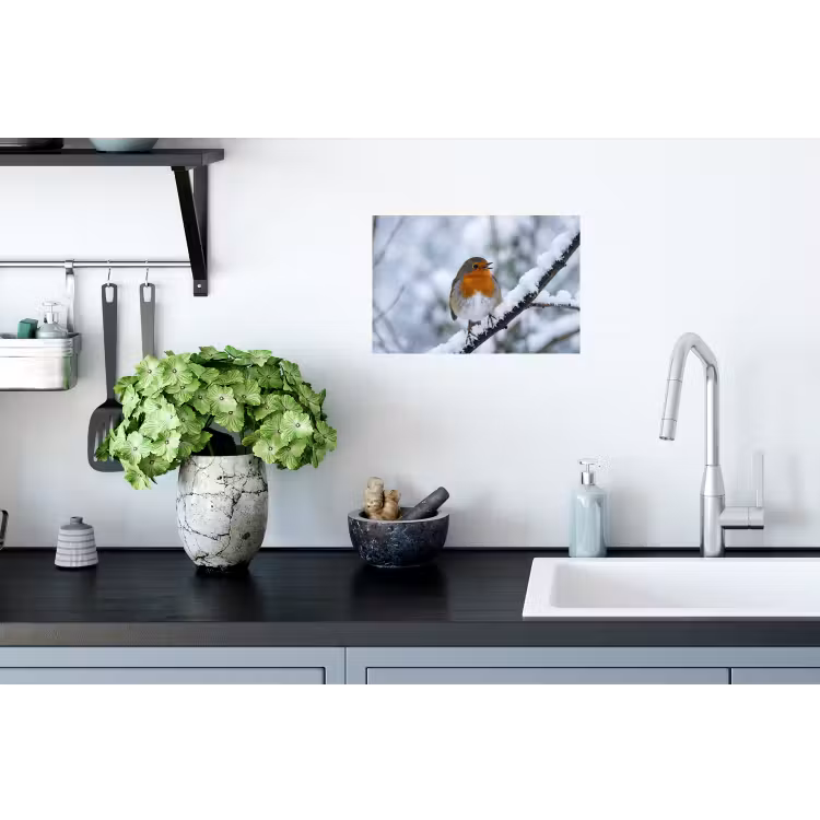 Roodborstje - Tak - Sneeuw - Winter - Levendig Muursticker klein -keuken